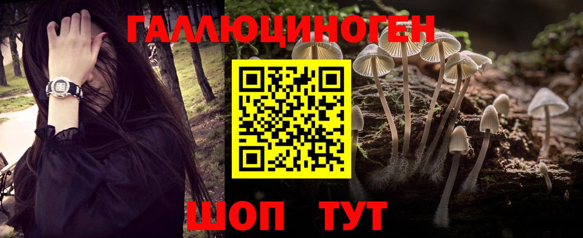 Псилоцибиновые грибы прущие грибы  где купить наркоту  Киров  Вход с VPN 