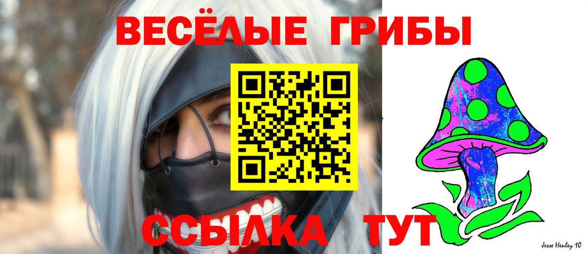 Галлюциногенные грибы Magic Shrooms Киров